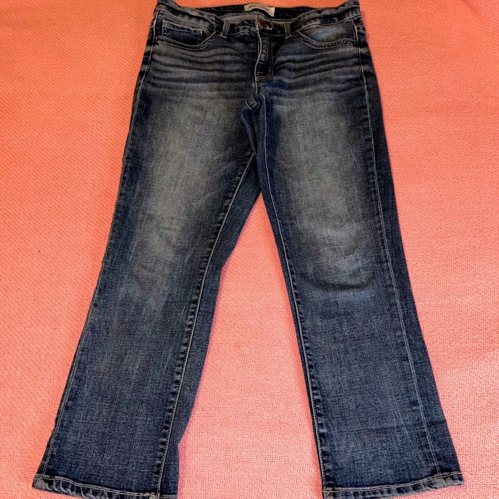 BKE Payton Mid Rise Cropped Straight Leg Jeans 28 Medium Wash Universal Fit Blue